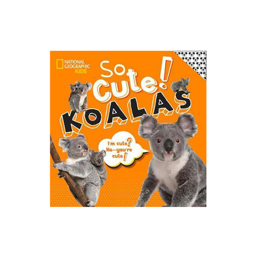 NGK So Cool! Koala