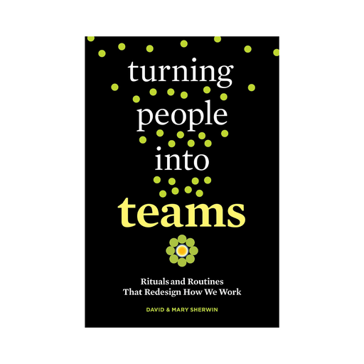 David&Mary S : Turning People into Teams