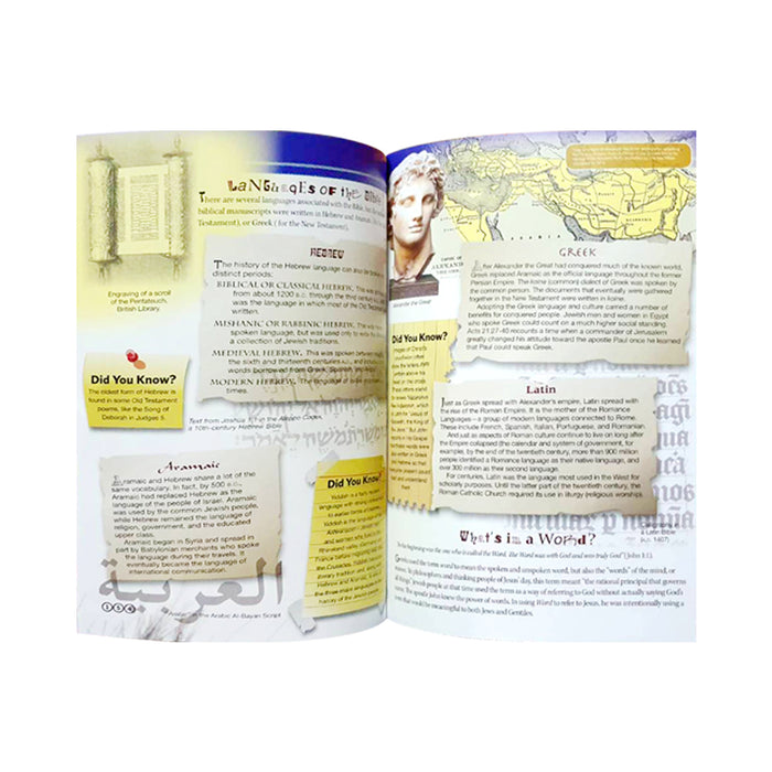 Amazing Bible Fact Book for Kids
